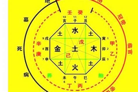 八字五行看個性|生辰八字算命、五行喜用神查询（免费测算）